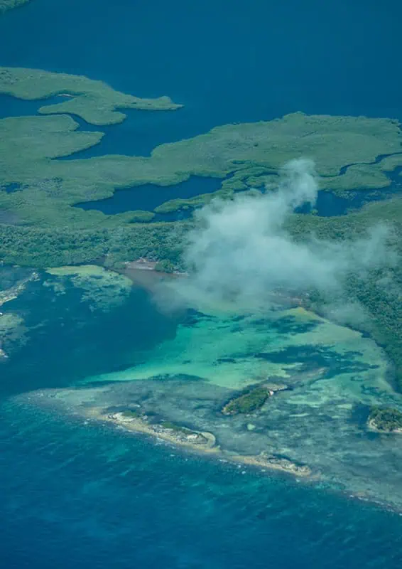 Aerial view of the lush greenery and clear waters surrounding Ambergris Caye, highlighting the natural beauty and serene environment.
