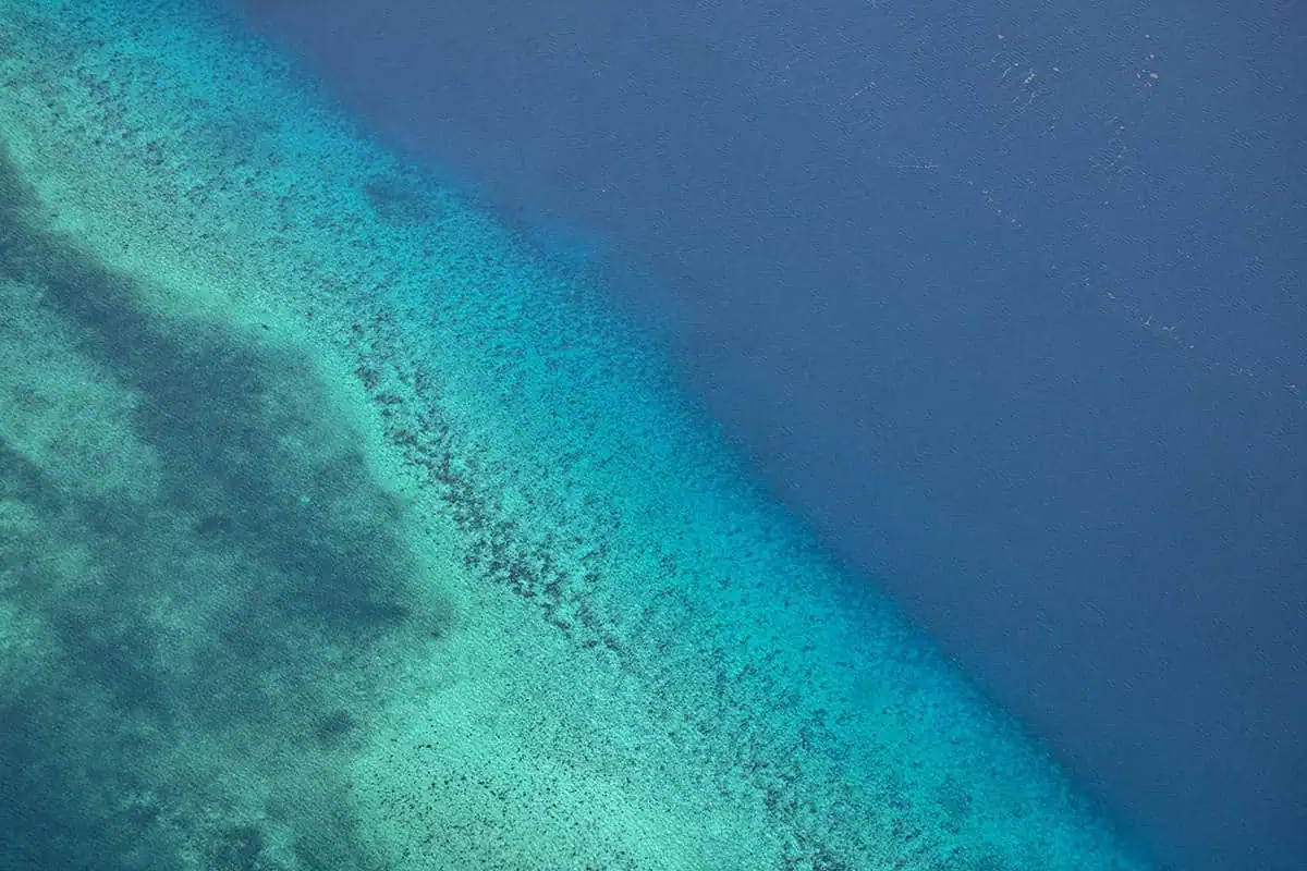 A close-up of the breathtaking Belize Barrier Reef near Ambergris Caye, showcasing the vibrant marine ecosystem with a myriad of textures and colors, perfect for underwater exploration.