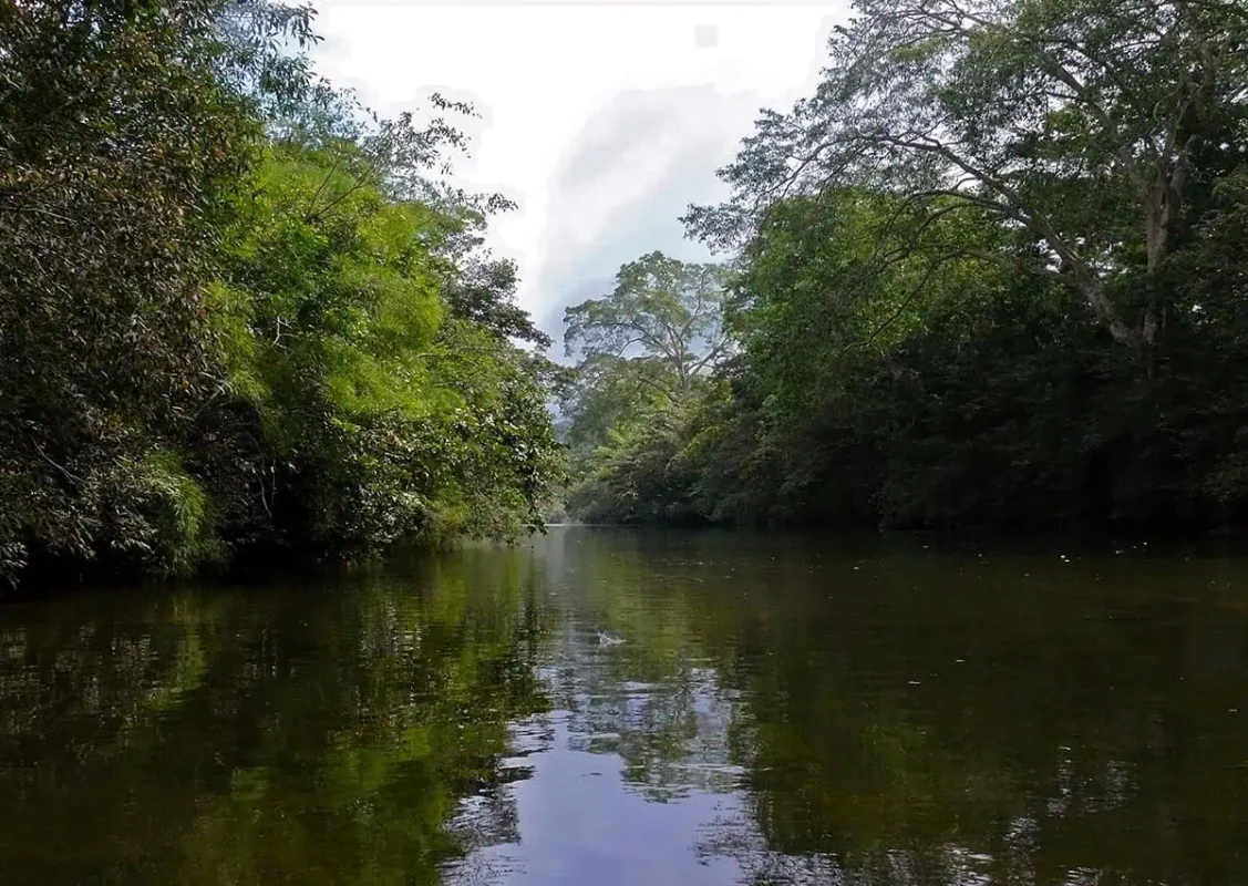 Peaceful scene of the Macal River in San Ignacio, flanked by dense, green trees. The still water reflects the surrounding foliage, creating a serene and picturesque setting.