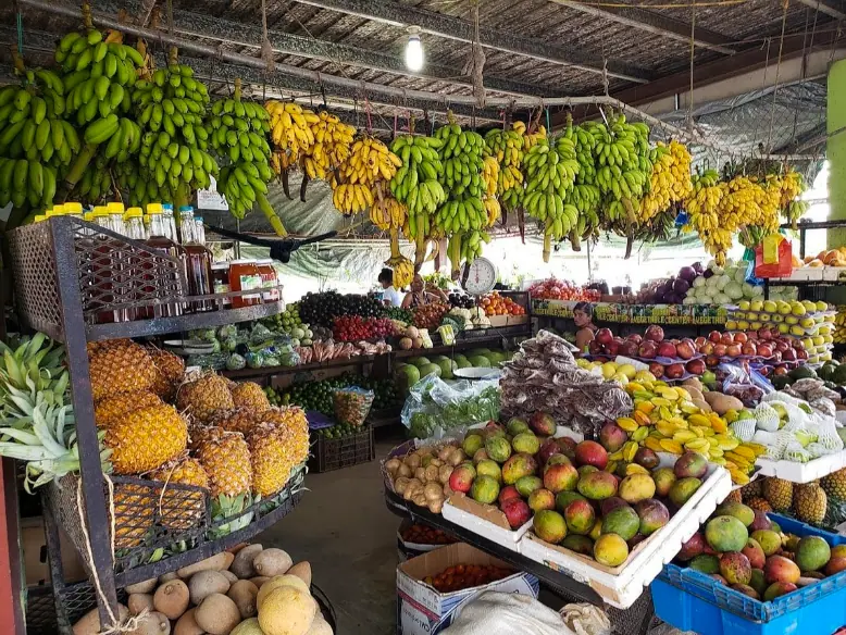 A bustling market stall in San Ignacio displaying an array of fresh fruits and vegetables, including bananas, pineapples, mangoes, and more. The vibrant colors and variety of produce highlight the local agricultural bounty and market culture.