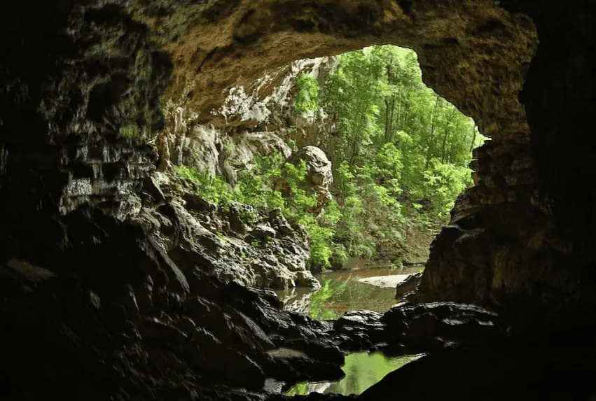 View from inside rio frio cave looking out towards a verdant forest and a tranquil river. The cave's rocky entrance frames the lush landscape, highlighting the natural beauty and adventurous things to do in San Ignacio.