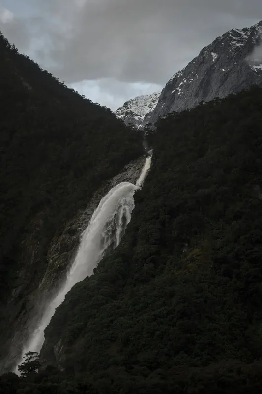 A close-up view captures the powerful Bowen Falls in Milford Sound, surrounded by dense forest and rugged cliffs. The water rushes down the steep cliff face with tremendous force, creating a veil of mist at the base. The lush greenery and rocky terrain emphasize the raw, untamed beauty of the natural landscape.
