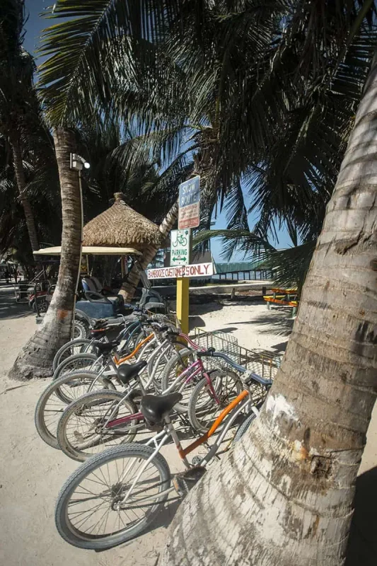 Rows of colorful bicycles are parked under palm trees near a 'Snow Route' sign and a thatched-roof beach hut on Caye Caulker. A 'Bikes Get Stolen Only' sign adds a humorous touch to this relaxed Cancun to Caye Caulker vibe