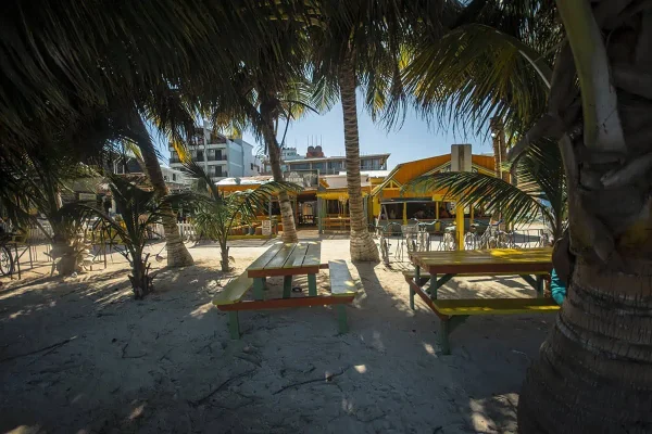Outdoor seating area under palm trees by the water in Caye Caulker, Belize, with a chalkboard menu and patrons enjoying a peaceful sunset. The perfect place to relax after a day of traveling from Cancun to Caye Caulker travelers.