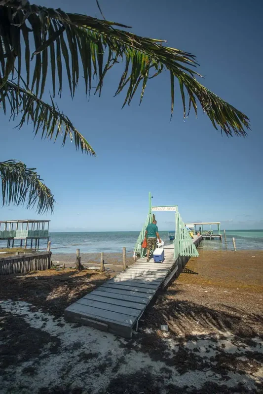 A man walking down a wooden dock labeled 'Private Dock,' carrying a cooler towards the turquoise waters of Caye Caulker. Palm fronds frame the shot, and another dock is visible in the distance. Travelers from Cancun to Caye Caulker can enjoy private oceanfront spots like this one.