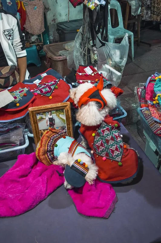 two poodles dressed in thai dog outfits for sale at the Sunday Market Chiang Mai.