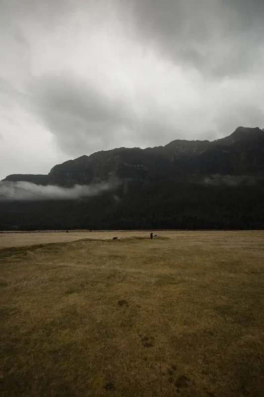A wide expanse of dry, golden grass with a solitary figure in the distance, surrounded by dark, forested mountains shrouded in low-hanging clouds. The sky above is overcast, adding to the moody ambiance of Eglinton Valley.