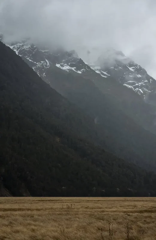 Snow-dusted mountain peaks emerge from a blanket of clouds, towering above dense forest and open grassland. The misty air enhances the ethereal beauty of Eglinton Valley.