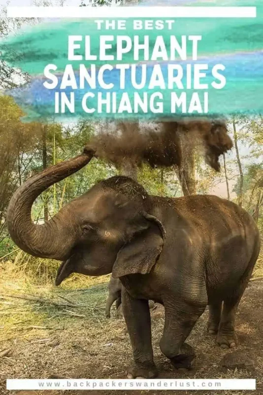 Check out what the best elephant sanctuaries in Chiang Mai are during your visit to Thailand. Find out what makes an ethical elephant experience, the history of elephants in Thailand, the top elephant sanctuaries to visit, and more!