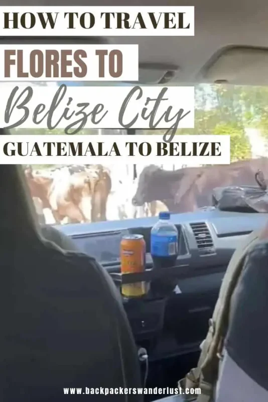 Check out how to travel from Flores to Belize City as we cross the border from Guatemala to Belize. I will let you know the transport options, travel times, how to book, and more!