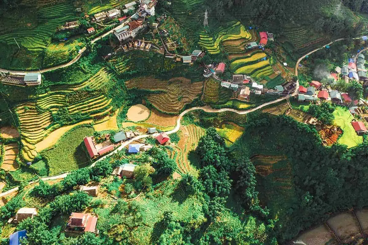drone shot over the rice terraces in sapa