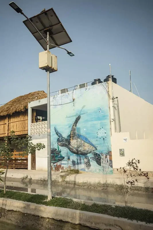 Mexico And Belize Itinerary: From 2 to 5 Weeks 5 A mural on the side of a building featuring a large sea turtle swimming underwater, with colorful marine life around it. A streetlight with solar panels stands nearby, highlighting the cultural and artistic expressions found in Mexico