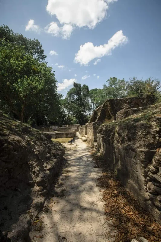 A pathway leading through an ancient Mayan archaeological site in San Ignacio, nestled in a forest setting. The ruins feature stone walls and archways that frame a clear sky, surrounded by dense trees, offering a glimpse into the past civilization