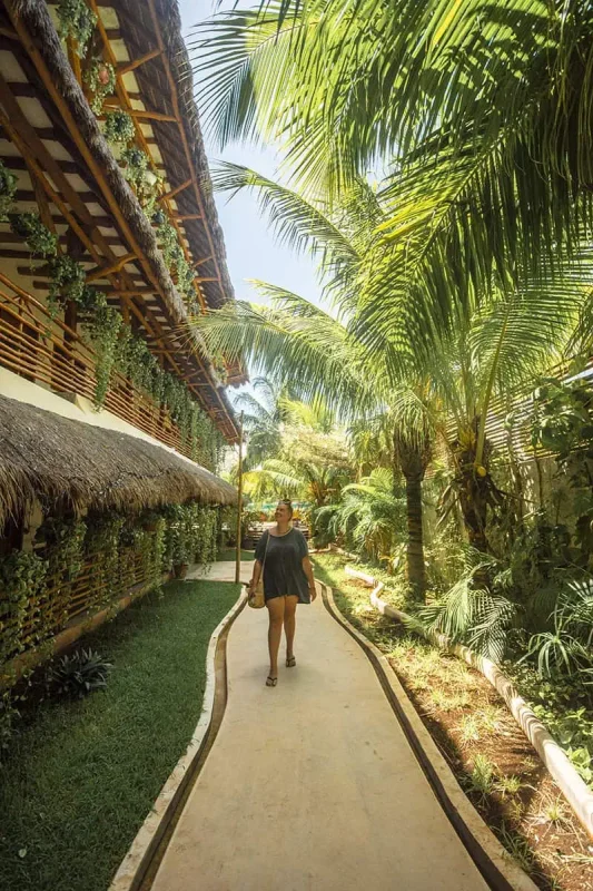 tasha amy walks down a curved pathway in a lush resort on Isla Holbox. The path is lined with tropical plants, small trees, and a structure with walls adorned with hanging plants. The area is shaded by tall palm trees, offering a cool, green escape.