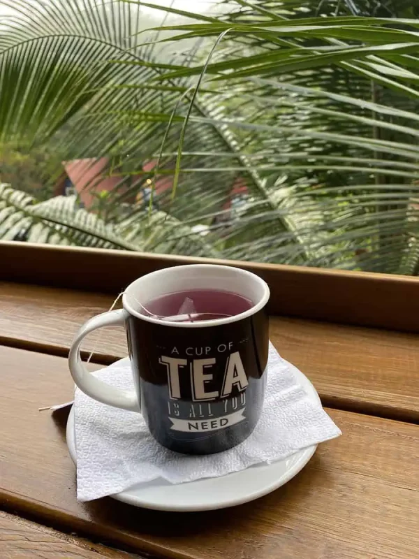 A serene setting featuring a cup of tea on a saucer, placed on a wooden table with a view of dense jungle foliage. The cup is labeled 'A cup of tea is all you need,' emphasizing a moment of tranquility amidst nature.
