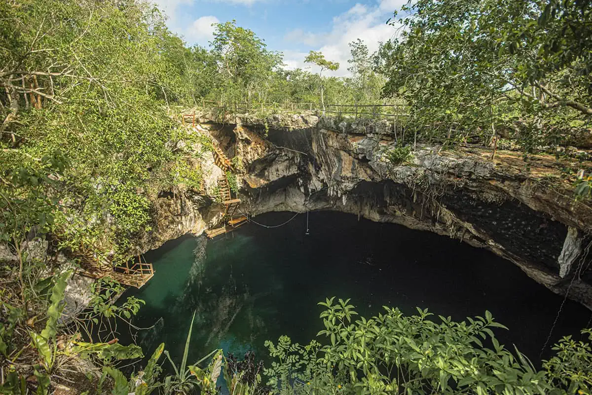 A secluded cenote nestled within a lush jungle, surrounded by towering trees in mexico