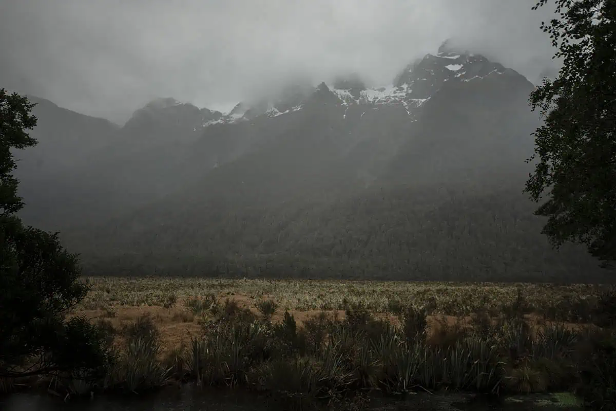 Heavy clouds obscure the tops of mountains above a valley in Milford Sound, New Zealand.