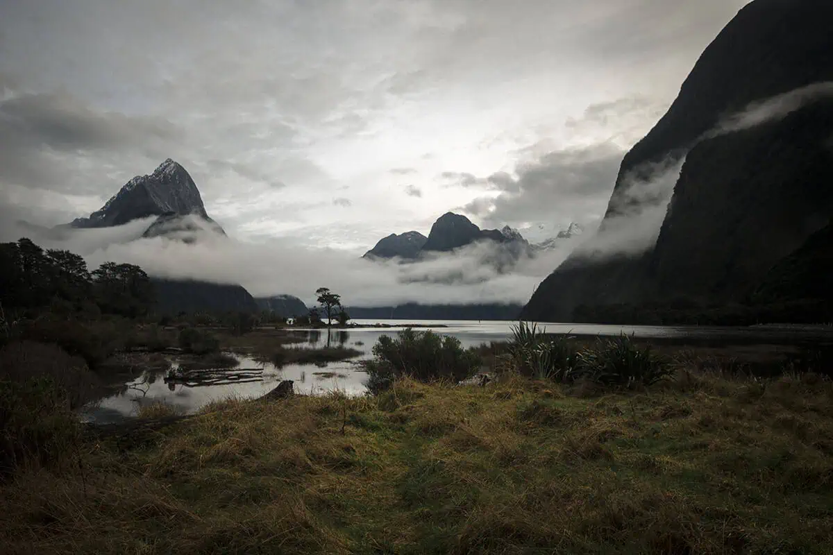 View across a grassy field and reflective water toward snow-dusted Mitre Peak partially obscured by low-hanging clouds in Milford Sound.