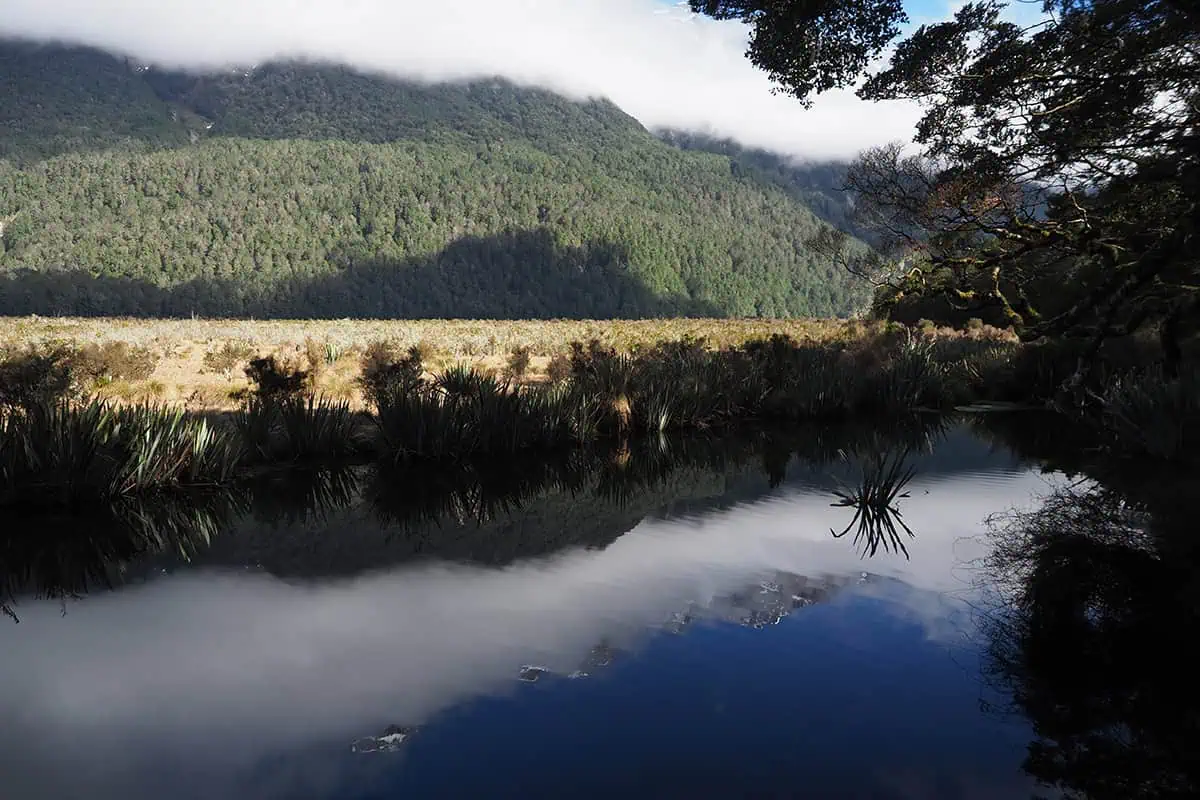 Another picturesque scene of Mirror Lakes in Milford Sound, showcasing the pristine water reflecting the dense forest and misty mountains. The image captures the delicate balance of nature with vibrant greenery, serene water, and the imposing presence of the mountains under a sky dotted with clouds, creating a harmonious and peaceful atmosphere.