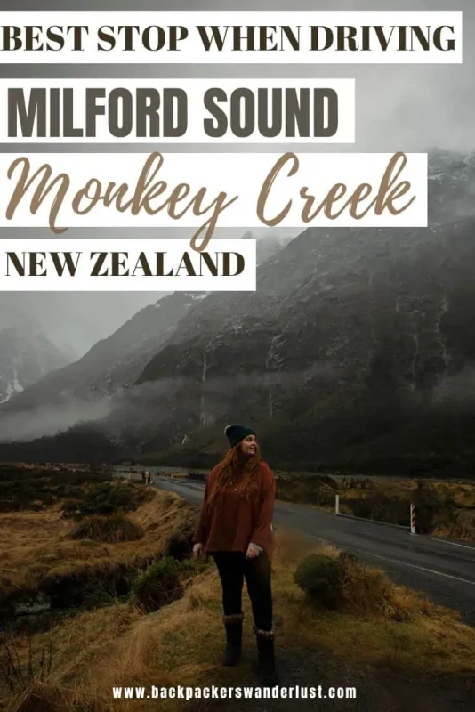 If you are driving to Milford Sound one of the best stops to make a long the way is the hidden secret called Monkey Creek. Come see why it's worth visiting, why it's even called that, what to do there, and more!