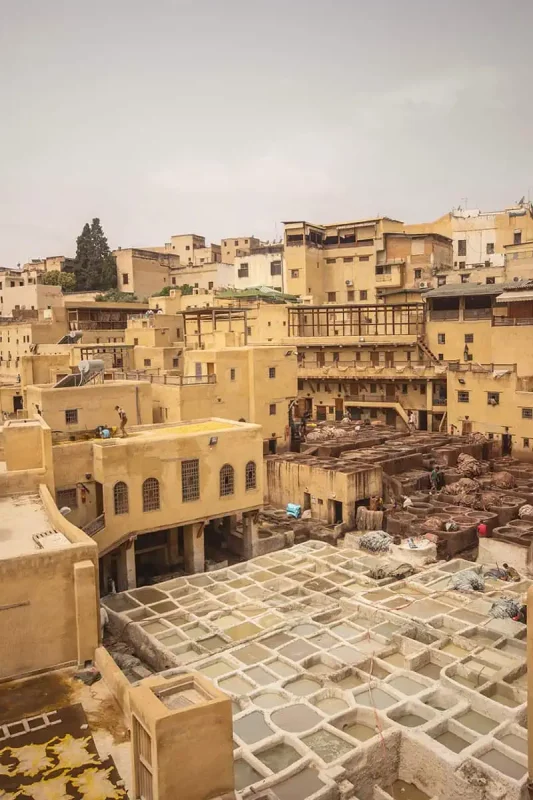 A view of fes in morocco, one of the cheapest countries to travel, adorned with many buildings and tannery pools
