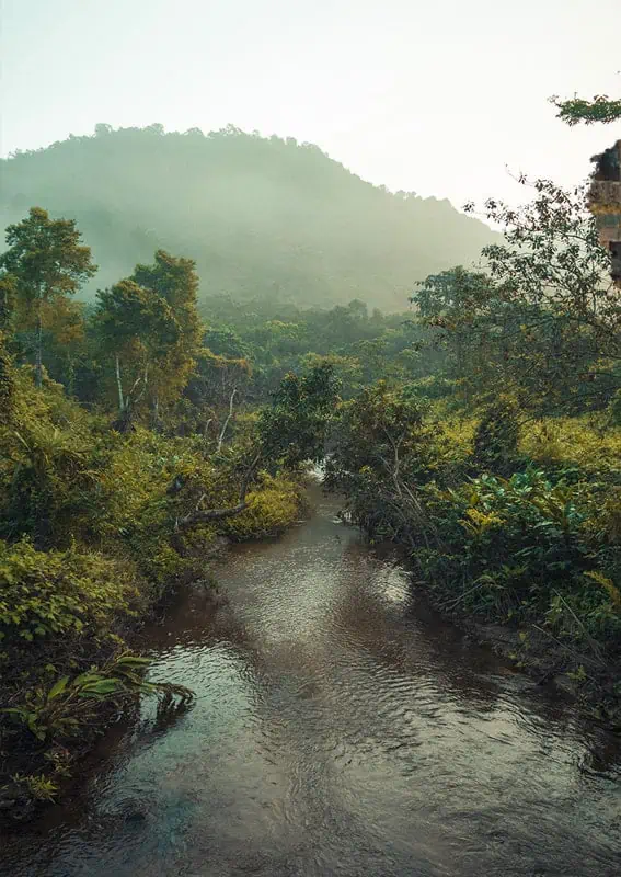My Son Sanctuary Hoi An: BEST Tips & Tours (2025) 22 looking upriver at one of the stream which one through my son sanctuary