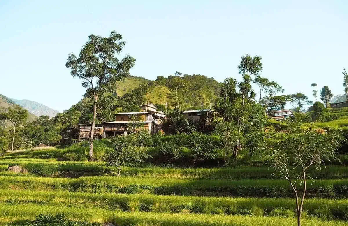 hotels in rice terraces from ngadi to besisahar