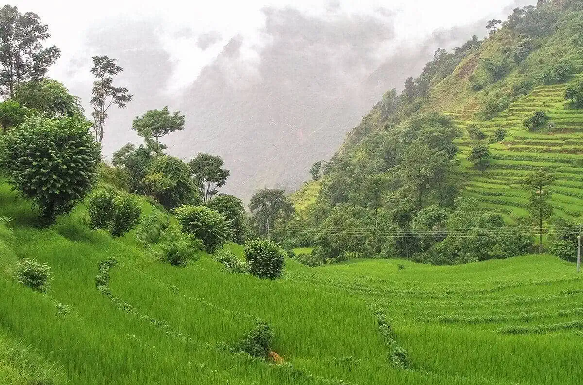 rice terraces from besisahar to bahundanda