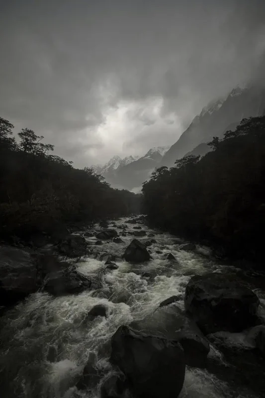 A turbulent river rushes through a forested valley with snow-capped mountains in the distance. The overcast sky and mist create a dramatic and foreboding atmosphere, typical of Milford Sound’s rainy weather.