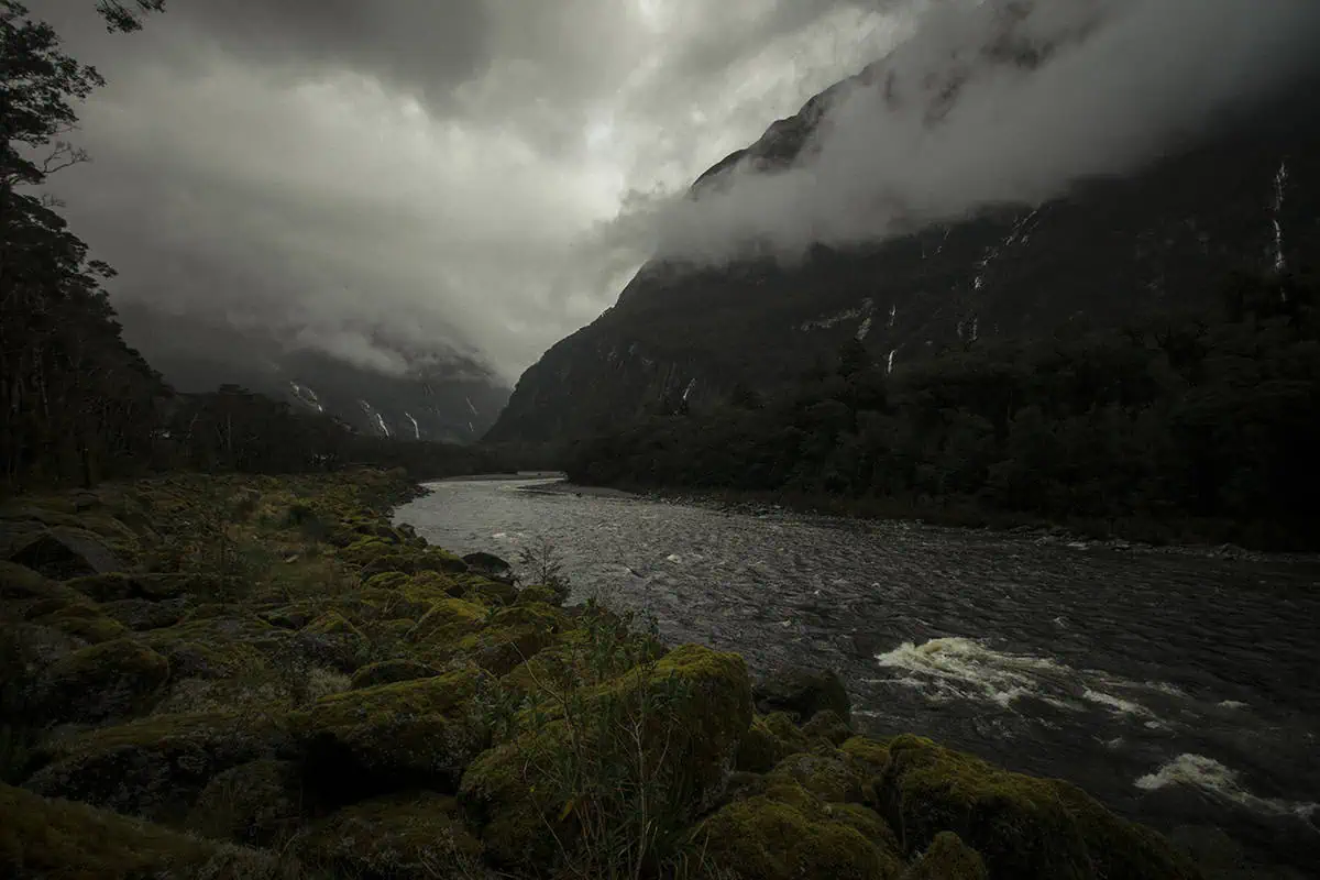 Moss-covered rocks line the edge of a fast-flowing river in Milford Sound, with misty mountains rising in the background. The cloudy sky and mist create a dramatic scene, highlighting the rugged beauty of the area.