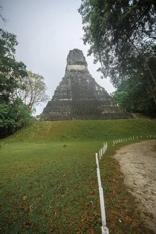 The grand Temple I at Tikal against a grey sky, seen by travelers who venture from San Ignacio for a historical excursion.