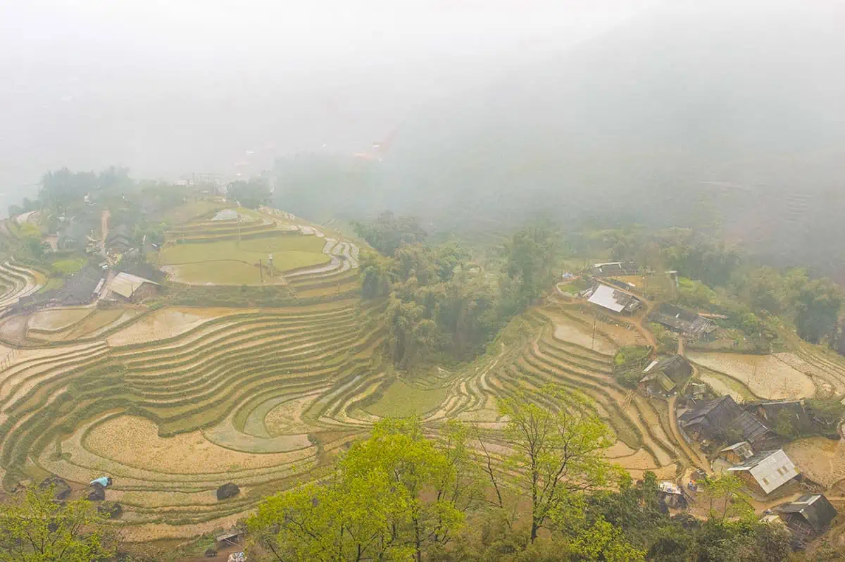 empty rice fields in sapa vietnam