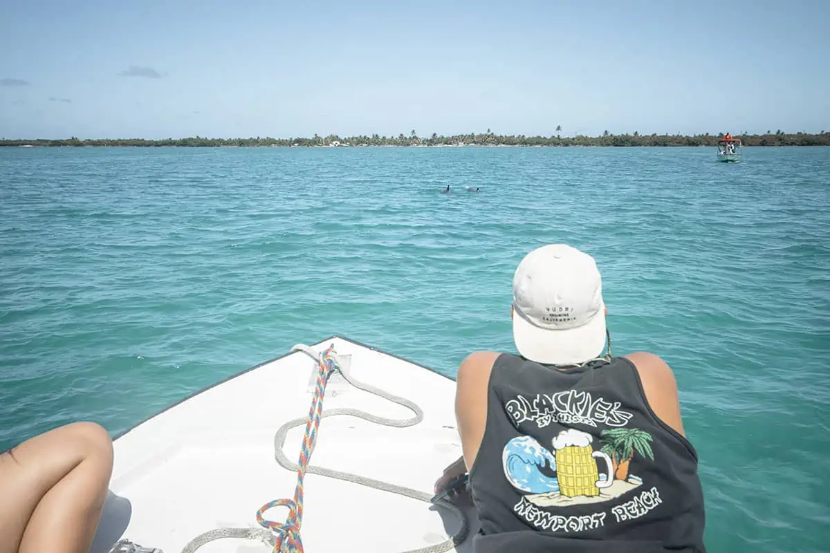 hanging on the front of the boat following a pod of dolphins at caye caulker