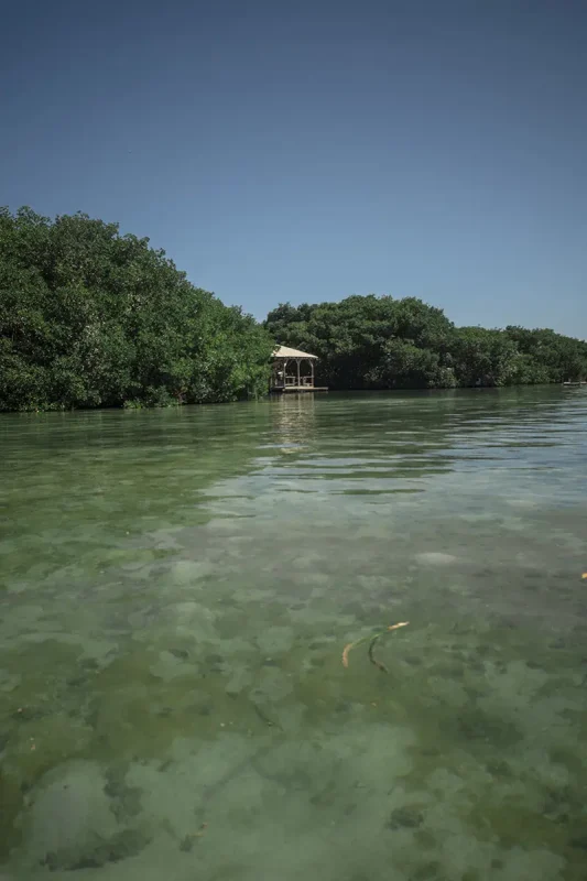 touring the other side of caye caulker among the mangroves