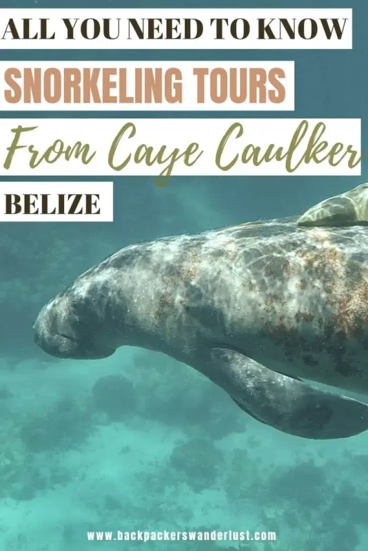 If you happen to be visiting Caye Caulker then no doubt you need to discover the incredible ocean life here! Now the best way to do this is with one of the Caye Caulker snorkeling tours which will take you to the best locations where you can swim with nurse sharks, turtles, sting rays, and even manatees!