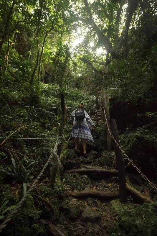 14 BEST Things To Do In Lifou: Cruise Passengers & More 16 tasha amy climbing down wooden steps amidst lush greenery in a forest, an activity that showcases the natural beauty of Lifou New Caledonia.