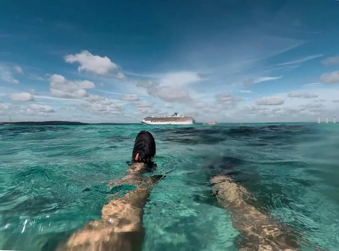 14 BEST Things To Do In Lifou: Cruise Passengers & More 14 A snorkeler floating over a coral reef with a view of a cruise ship in the background, a popular activity in Lifou New Caledonia.