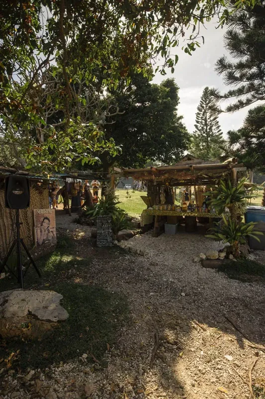 14 BEST Things To Do In Lifou: Cruise Passengers & More 12 A local market set up under the trees with a variety of stalls, where visitors can experience the culture and find things to do in Lifou.