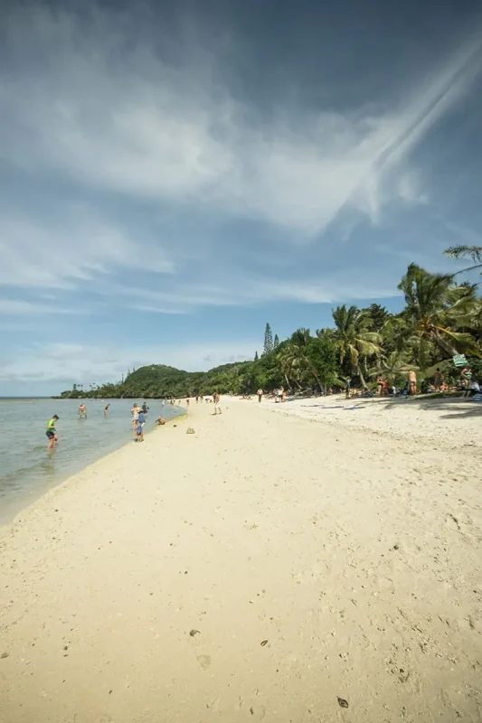 14 BEST Things To Do In Lifou: Cruise Passengers & More 21 Tourists enjoying a sunny day on a white sandy beach in Lifou, New Caledonia, with tropical palm trees lining the shore and a clear blue sky above, depicting a popular activity for cruise ship passengers.