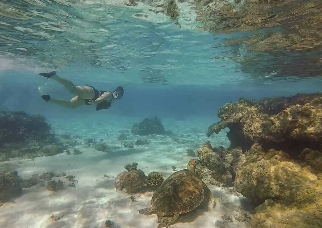 14 BEST Things To Do In Lifou: Cruise Passengers & More 22 Tasha Amy swimming above a sea turtle near the ocean floor, with sun rays piercing through the water, a captivating sight in Lifou New Caledonia.