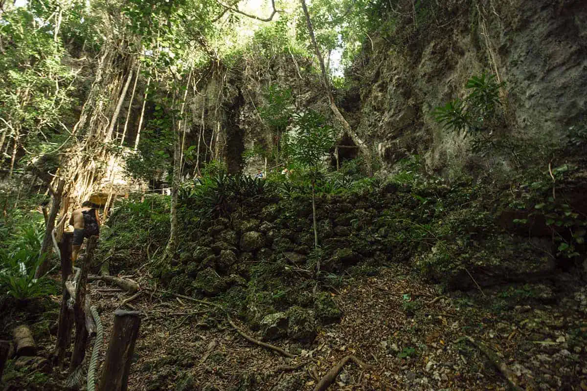 14 BEST Things To Do In Lifou: Cruise Passengers & More 19 A dense tropical forest with a person hiking on a trail, exploring the natural limestone caves, one of the adventurous things to do in Lifou, New Caledonia.