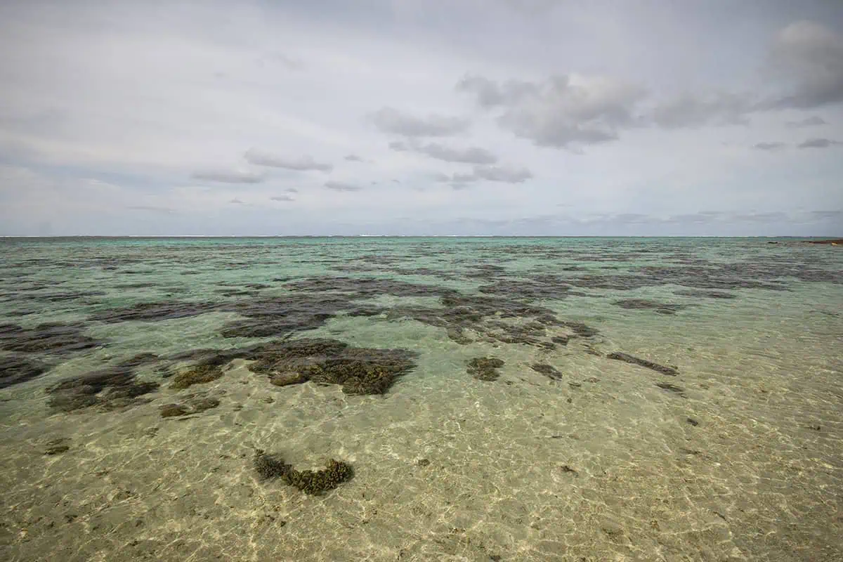 Clear shallow waters off Mystery Island reveal patches of coral reef spread across a sandy seabed, with soft cloud cover stretching over the horizon.