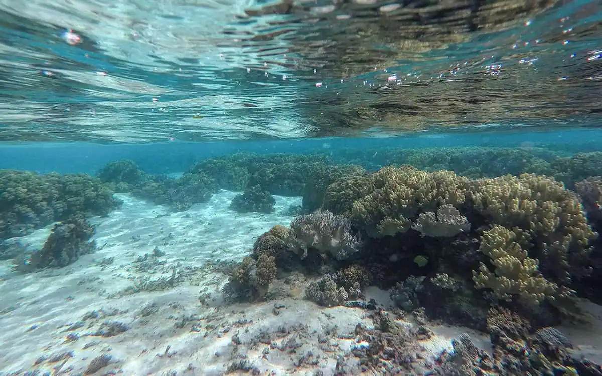 Underwater view of a shallow coral reef near Mystery Island.