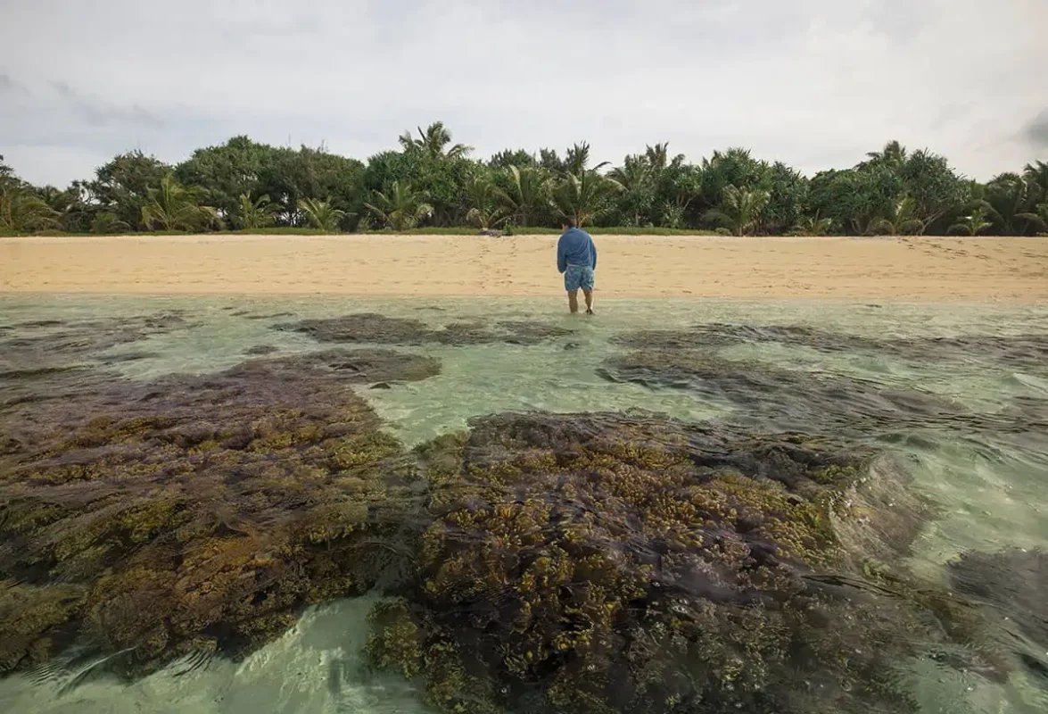 a man wrapped in a towel wades through coral-filled shallows toward the sandy beach
