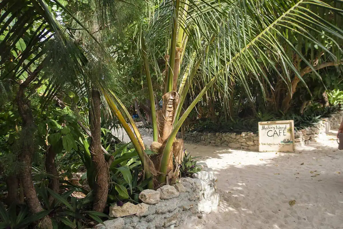 A small sign reading “Mystery Island Café” is nestled among dense tropical plants and coconut palms along a sandy path.