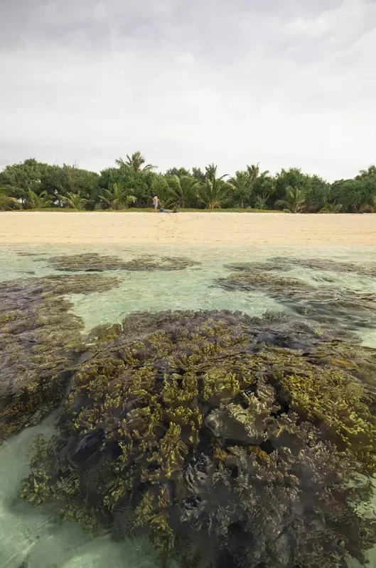 Coral formations sit just beneath the waterline in front of a sandy beach on Mystery Island, with a lone person walking along the tree-lined shore.