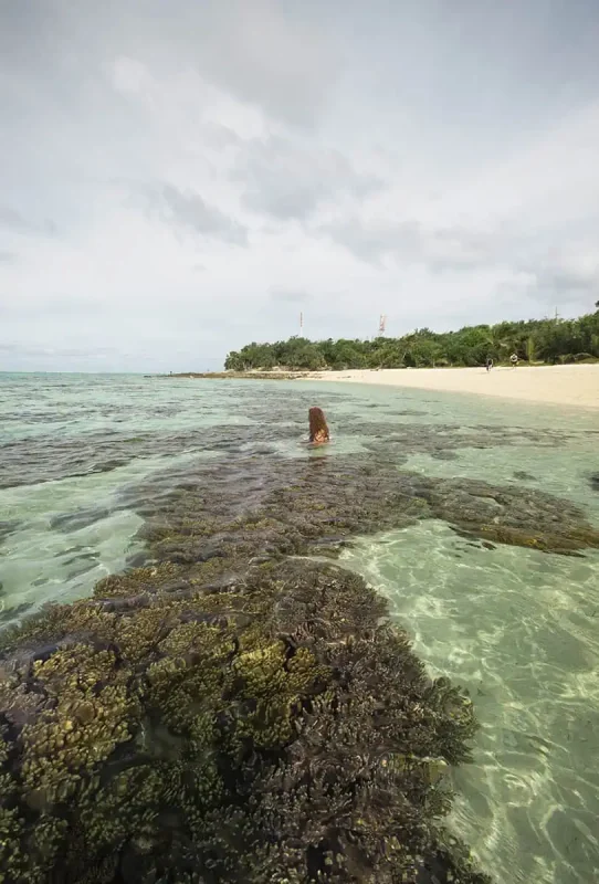 Back view tasha amy immersed in the shallow, coral-rich waters along Mystery Island’s shoreline, with golden sand and palm trees in the background.