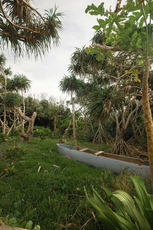 An old wooden canoe rests in a grassy clearing surrounded by thick, root-exposed trees on Mystery Island.