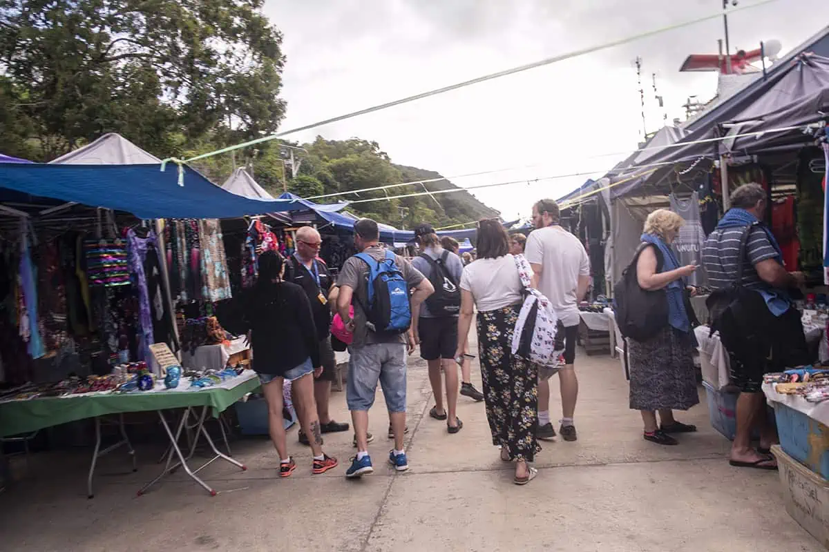 walking through the market with stalls set up on each side while walking towards the ship. these are set up each time there is a ship at vila vanuatu cruise port