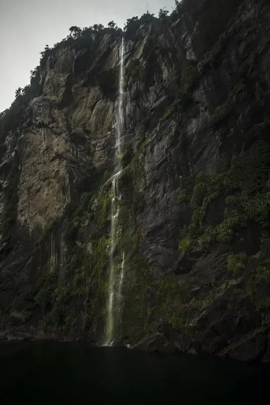 A thin cascade at fairy falls trickles down a cliff face lined with moss, disappearing into the waters of Milford Sound.